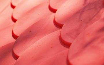 Nevendon plastic roof costs